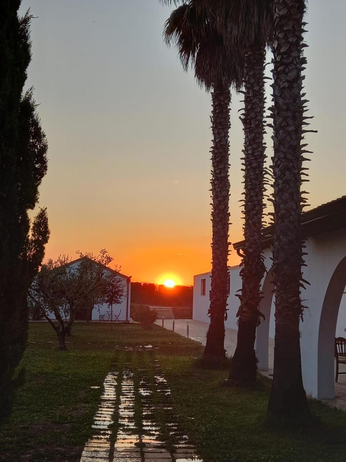 Masseria Crocco Montalbano Ionico Eksteriør billede